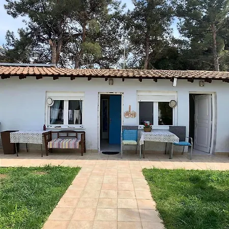 Anais (adults Only) Prínos