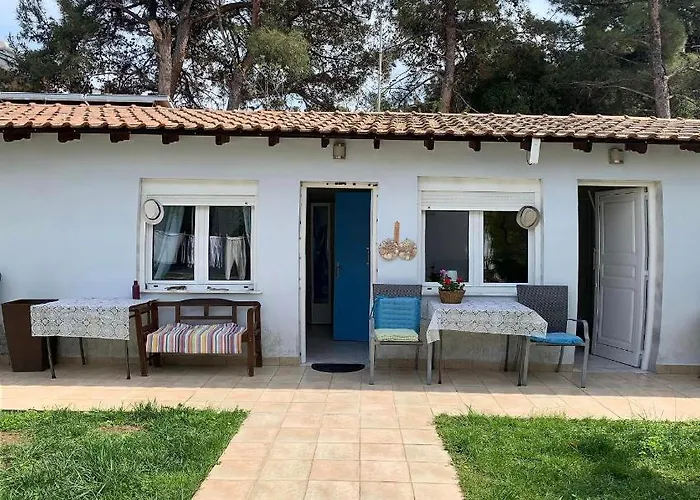 Anais (adults Only) Prínos